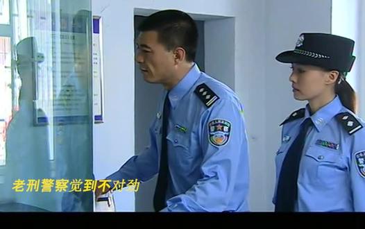 总裁被绑架,神秘“猫头鹰”勒索三百万,刑警智斗夜枭