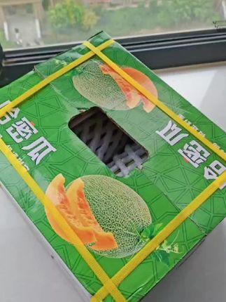 真的不愧是新疆的哈密瓜🍈,瓜味儿真的好浓郁,满口爆汁#口感特别好 #脆甜多汁 #快来一起尝个鲜