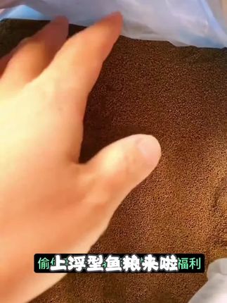 【上浮型鱼粮】鱼食小型观赏鱼金鱼锦鲤专用小颗粒孔雀鱼粮通用#爆款热卖中#超便宜超划算#好物推荐