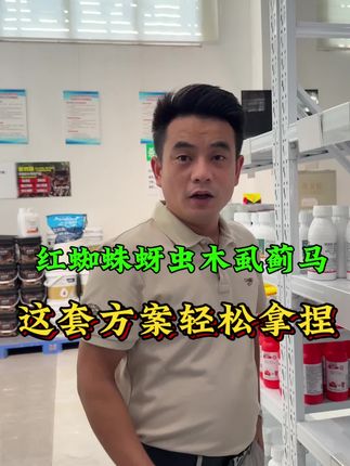 十月果园还在跟红蜘蛛死磕?嫩芽里藏着的蚜虫、木虱、蓟马也冒头了?别乱配药,越复杂越难控!这套方案帮你轻松拿捏!#柑橘 #柑橘种植 #柑橘管理 #红蜘蛛 #蓟马