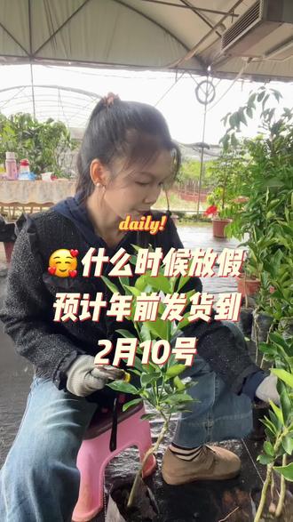 年前预计发货到2月10号左右#农产品销售 #苗木供应