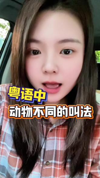 粤语中动物不同的叫法 #dou上热门 #粤语 #学粤语 #广东话 #粤语文化 @DOU+小助手