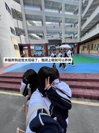 养猫养狗这些太低级了,我闭上眼就可以养神