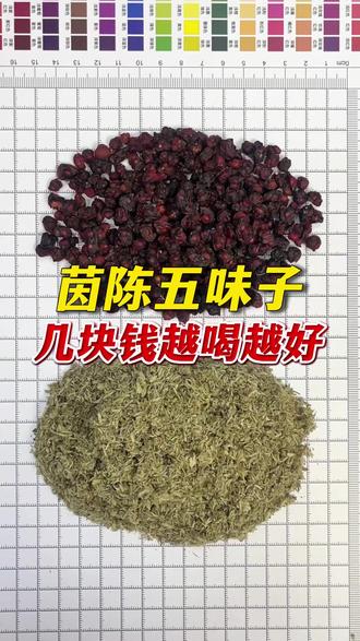 一两茵陈一两金,搭配五味子赛千金,长寿老人都说好 #茵陈五味子 #茵陈 #五味子 #滋补