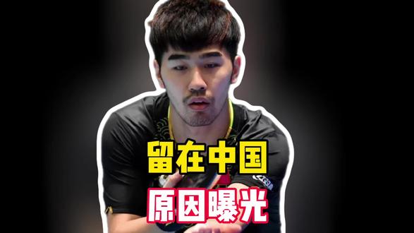 日本乒乓球名将来中国比赛后不愿意回日本,闫安透露原因