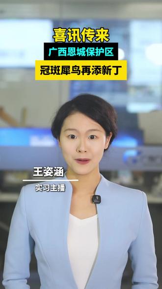 喜讯传来,广西恩城保护区冠斑犀鸟再添新丁#广西dou知道 #动物保护