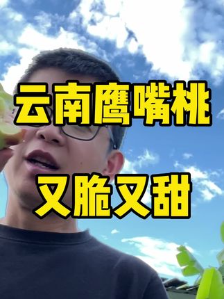 卖了五年的云南高原鹰嘴桃上市了,脆甜爽口,吃了就不想吃其他桃 高原鹰嘴桃清甜爽口,又脆又甜,五年期间卖了好多好多件,没尝过这种桃子的,可以买一份尝尝#新鲜采摘 #应季水果 #快来一起尝个鲜