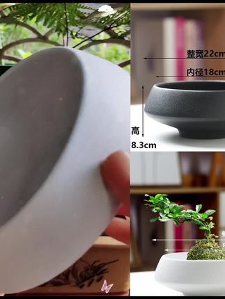 中式禅意蕨类插花水培花盆陶瓷简约家用高足脚米竹苔藓球托盘花盆#花盆 #水培植物#植物盆#托盘