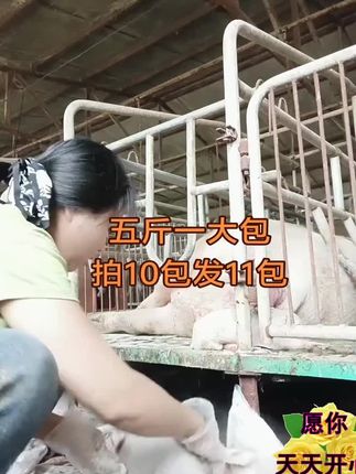 新生小猪,你做对了吗#所有养猪人 #服务三农支持三农 #接生粉 #自繁自养母猪 #农村养猪