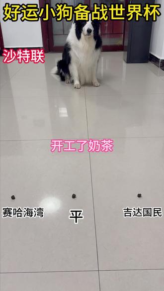 小狗选了吉达国民和维拉,你们认为呢。 #世界杯 #欧罗巴 #沙特联赛 #阿斯顿维拉 #吉达国民