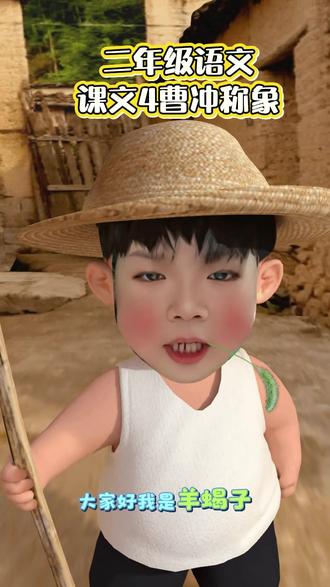 #二年级 #二年级语文 #语文 曹冲称象