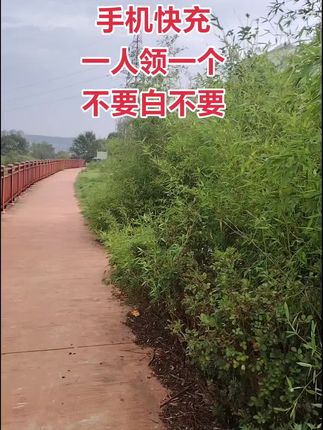 手机快充充电器,一人领一单,赶紧薅#快充数据线#手机快充数据线推荐 #充电器#超便宜超划算 #在抖音入手的好东西