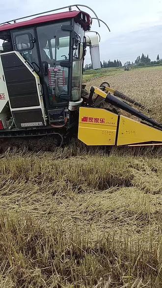 多功能家家乐杂粮割台,麦子油菜通吃,