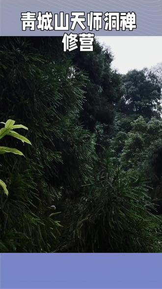青城山天师洞禅修营,
在半山腰的道教宫观住一晚上,
然后第二天起来爬山是什么体验?
禅修营告诉你!#道家文化 #青城山 #道教 #修身养性 #修行