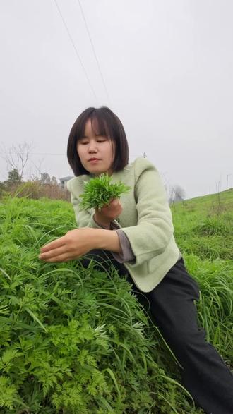 清风化雨,思念绵长,又是一年清明时,记得回家看看。#清明节 #蒿子粑粑 #常德汉寿 #我的家乡我宣传我为家乡做代言 #乡村生活