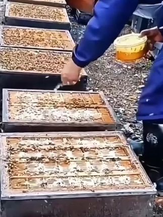 #杀螨香粉 #好物分享 @抖加🔥上热门🔥dou+🔥热点宝 @抖加上热门 @抖音创作小助手