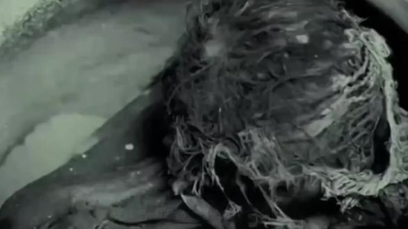 菩萨兵越过干山万水来解救人们的大苦大难 #建国大业#历史 #西藏#解放军