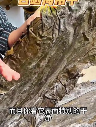 #海带干 #日晒海带干 #海带干推荐
