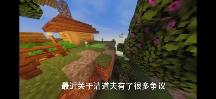 虐待清道夫是否正确如何正确清理清道夫