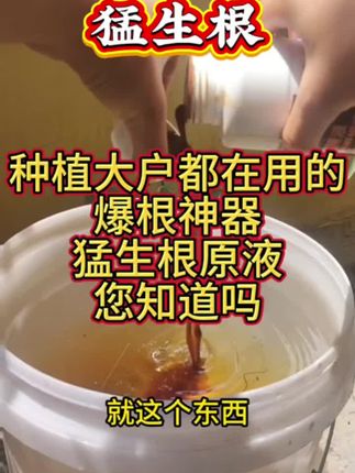 猛生根#三农 #猛生根 #猛生根原液 #猛生根原液生根剂 #生根壮苗