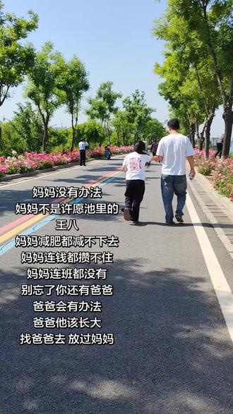 哪个二逼写的,好恶毒的歌