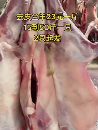 去皮全羊23元一斤，15到50斤一只，2只起发#全羊 #去皮全羊 #牛羊肉批发 #支持全国发货