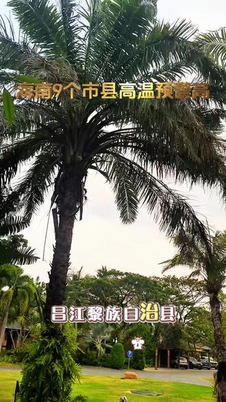 4月份想来海南的朋友注意了,海南高温四级预警,具体涉及一下9个市县,海口市,澄迈县,临高县,定安县、屯昌县,儋州市,白沙黎族自治县,昌江黎族自治县东方市,高温主要集中在北部和西北部地区,这些地区乡镇的温度达到了37度,39度以上的高温,#温馨提示#海南高温预警