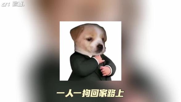 情绪稳定总是有他的理由的#犟种 #情绪管理