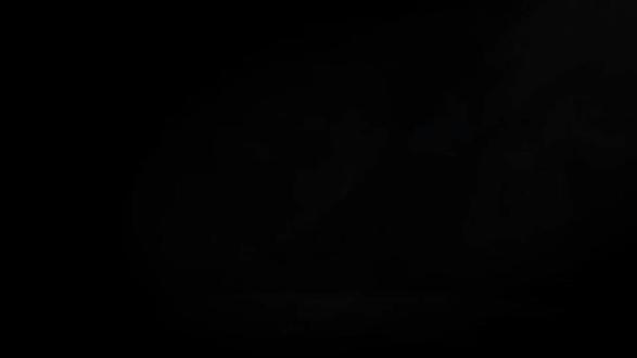 中国史料中的欧洲真实历史