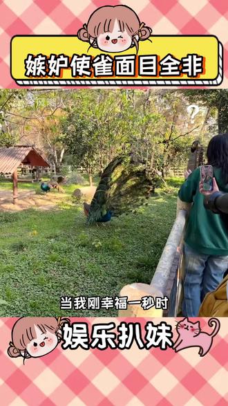 富公哦,就你会开屏会装是吧#搞笑#抽象#万万没想到