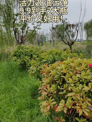 终于找到了这款平价又好用的油污净,9.9到手2大瓶,去油污杠杠滴#活力28 #重油污清洁剂 #油污净 #油污净一喷一擦