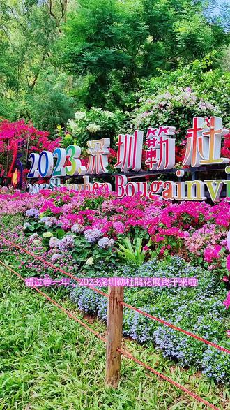 2023深圳勒杜鹃花展游玩攻略来啦路线在视频后面#抖音带你去赏花 #深圳赏花打卡地推荐 #赏花来这里 #周末去哪玩 #莲花山公园
