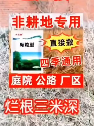 #环嗪酮除大树竹子灌木杂草 #环嗪酮除草剂 #安全有效的除草方法