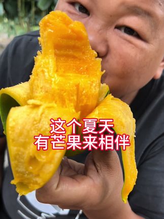 金煌芒到了天花板级口感了#芒果#金煌芒