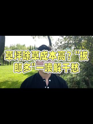 #园林绿化#园林绿化工程