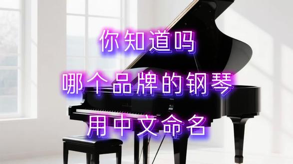 你知道哪个钢琴品牌是中文Logo吗