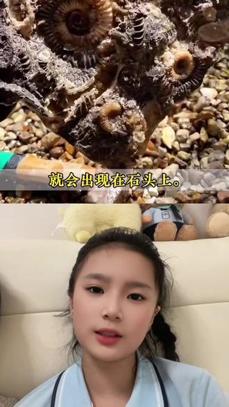 二下| 语文园地六《写话七》神奇的大自然
“石头上怎么会有贝壳呢?”优秀范文朗读,考点读一读练一练,#看图写话 #二年级写话 #科普#语文园地#二年级下册语文 #创作灵感