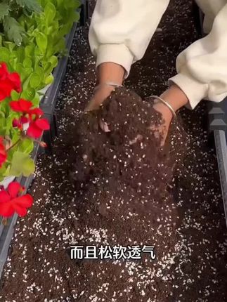 【买10斤送20斤】营养土通用养花种菜专用有机土壤植物通用型花卉土#营养土