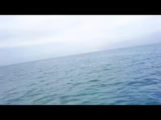 马六甲海峡游:马六甲海峡是位于马来半岛与印度尼西亚的苏门答腊岛之间的漫长海峡,由新加坡、马来西亚和印度尼西亚三国共同管辖。马六甲海峡是马来西亚近代一个重要的国际贸易交通港埠,国际上习惯用它称呼该海峡,马六甲海峡无论在经济或军事上而言,都是很重要的国际水道。