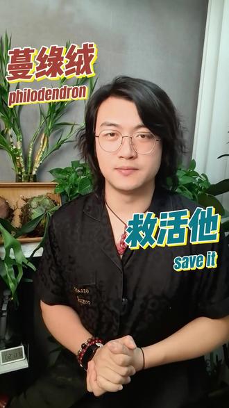 拯救金钻蔓绿绒 #花卉绿植 #金钻蔓绿绒 #花卉种植技巧 #阳台养花 #养花技巧 拯救金钻蔓绿绒烂根烂叶