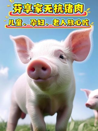 芬享家无抗猪的养殖过程,严格遵循自然规律,不添加任何激素和抗生素,让儿童、孕妇,老人吃的更放心!#无抗猪肉 #0抗生素 #0人工激素 #吃的更安心