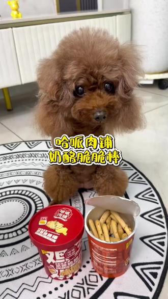 狗狗零食 【哈哌】狗狗薯条狗狗零食三口味多种营养食材科学配方狗狗宠物零食#多种营养 #多种营养食材 #狗狗零食分享 #宠物生活 #哈哌宠物零食