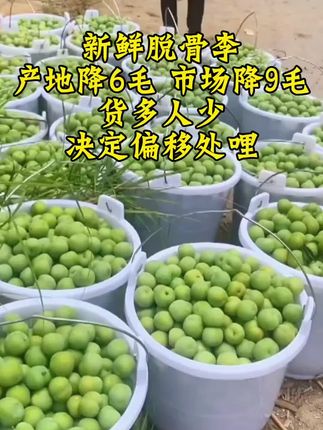 #脱骨李 #李子 #优质农产品 #抖音助农 #支持三农扶持三农发展 @巨量千川