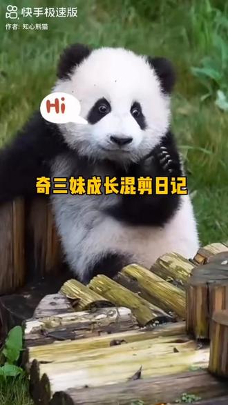 奇三妹成长混剪