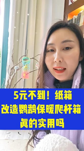 💸 5元不到!纸箱改鹦鹉保暖爬杆箱 ,真的会实用吗?✨#鹦鹉日常 #爱鸟护鸟 #虎皮鹦鹉#变废为宝