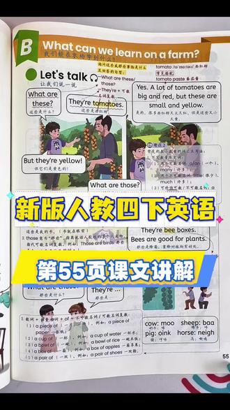 新版人教版四下英语第55页课文讲解 #人教版四年级下册英语 #新课标英语学习
