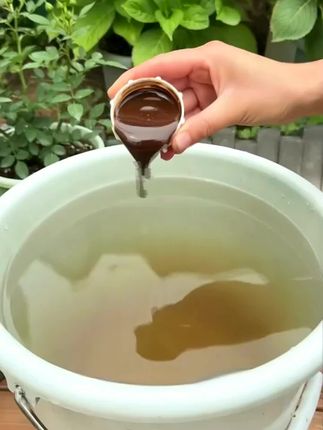 作物长得好,鱼蛋白肥少不了 有机营养,安全高效!抗逆性强、收成高,种花种菜都合适。点击小黄车,丰收早一步!#鱼蛋白 #鱼蛋白水溶肥 #鱼蛋白肥的功效与作用 #家庭园艺 #盆栽绿植