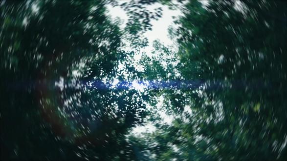 中国西电集团《缆启新程》