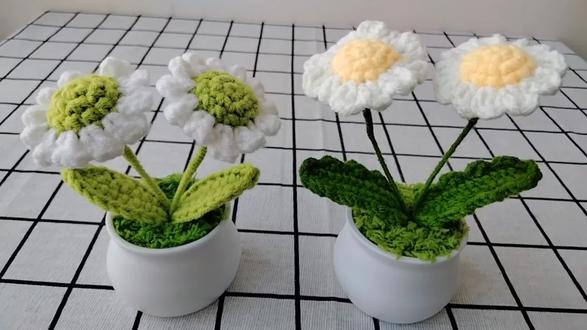 小雏菊盆栽钩织教程
#爱生活爱编织
#钩织教程