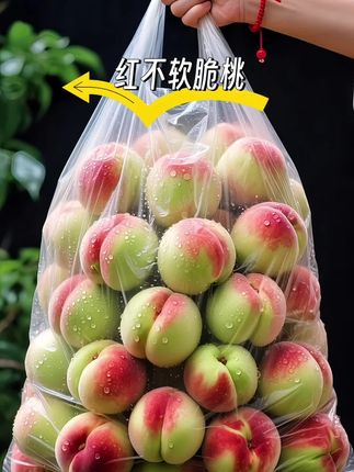 脆蜜桃 救命!谁懂啊!第一次吃到脆蜜青桃直接被惊艳到!原来它就是传说中的青脆蜜桃!一口咬下去直接封神,又脆又甜,清甜的汁水在嘴里爆开,果肉脆嫩得根本停不下来!连炫好几个都不够!没吃过青脆蜜桃的宝子我真的会难过!现摘现发超新鲜,每一口都是脆爽清甜,脆桃脑袋快冲,错过真的会后悔!#优质农产品#脆甜多汁#快来一起尝个鲜#应季水果#脆蜜桃